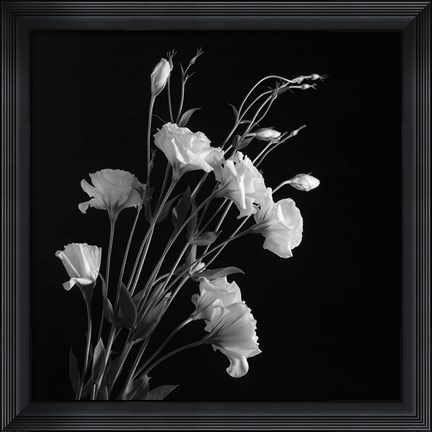 Framed White Flowers Gray Print