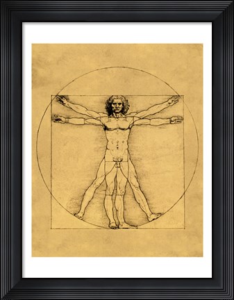 Framed Proportions of the Human Figure - Vitruvian Man Print