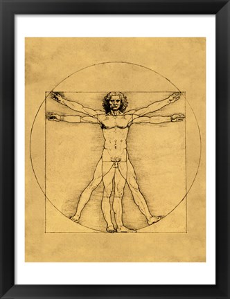 Framed Proportions of the Human Figure - Vitruvian Man Print