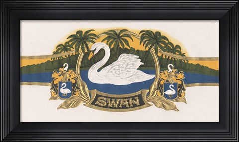 Framed Swan Print
