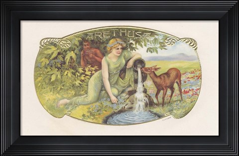 Framed Arethusa Print
