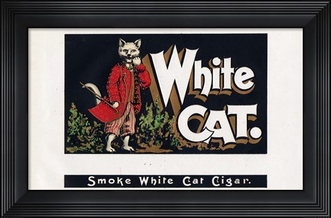 Framed White Cat Print