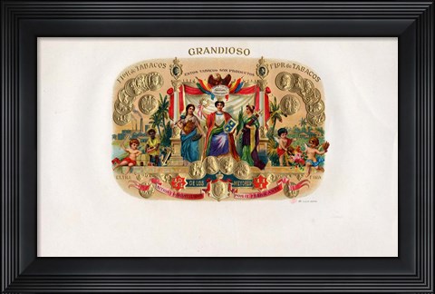 Framed Grandioso Print