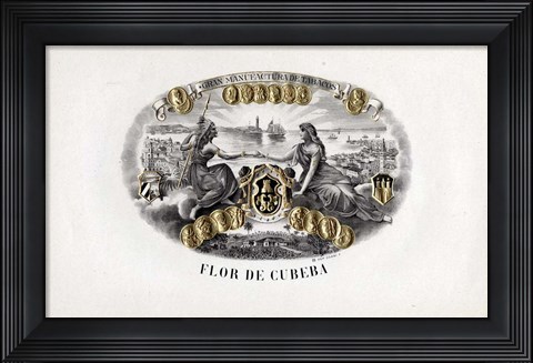 Framed Flor De Cubeba Print