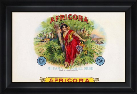 Framed Africora Print