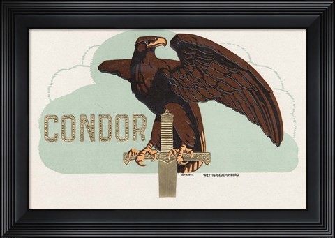 Framed Condor Print