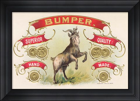 Framed Bumper Print