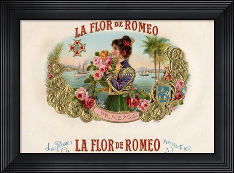 Framed La Flor De Romeo Print