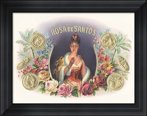 Framed Rosa De Santos Print