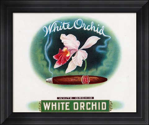 Framed White Orchid Print