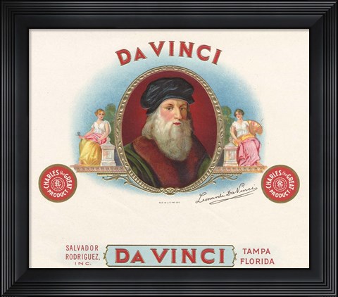 Framed Da Vinci Print