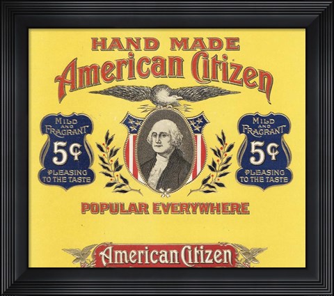 Framed American Citizen Print