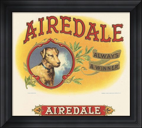 Framed Airedale Print