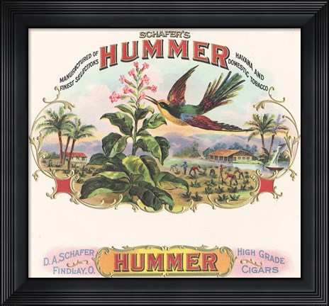 Framed Hummer Print