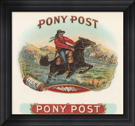 Framed Pony Post Print