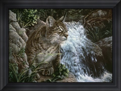 Framed Danger In Paradise Print