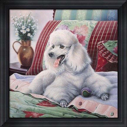Framed White Poodle Print