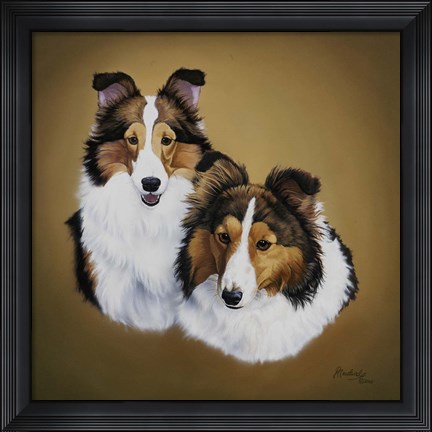 Framed Collies 1 Print