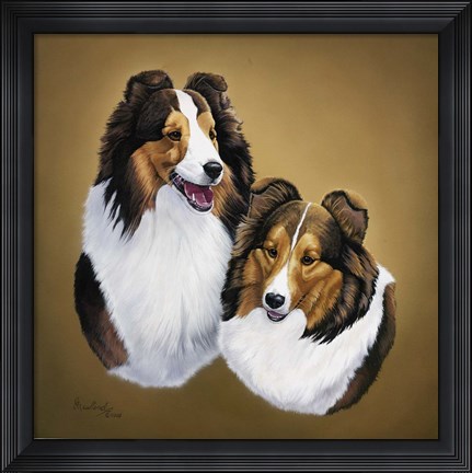 Framed Collies 2 Print