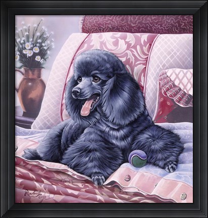 Framed Black Poodle Print