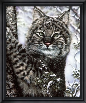 Framed Alluring Eyes Print