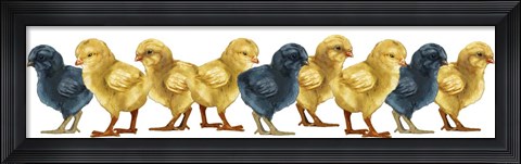 Framed Chicks Group No Wood Print