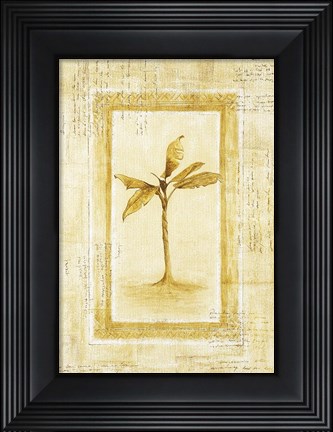 Framed Palm 2 Print
