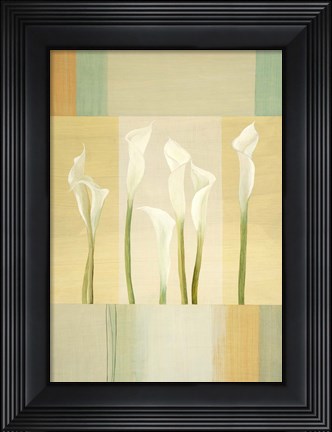 Framed Calla Lily Dance I Print