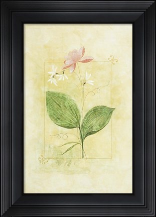 Framed Pink Bloom 1 Print
