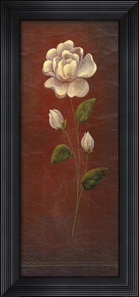 Framed Blush 2 Print