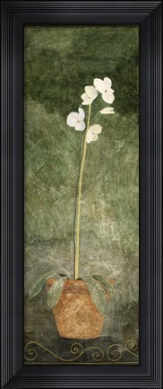 Framed White Potted Flower Print