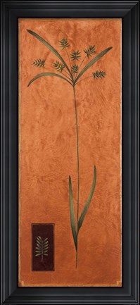 Framed Slender 2 Print