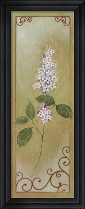 Framed Jasmine I Print