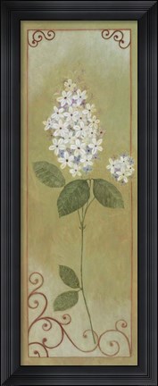Framed Jasmine II Print