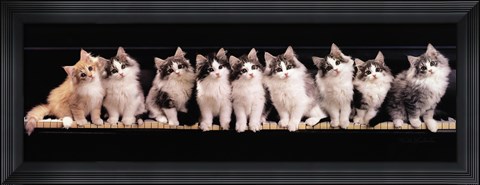 Framed Klassical Kittens Print