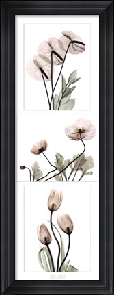 Framed Flowering Triptych Print