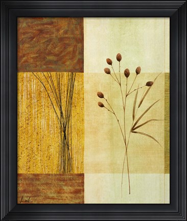Framed Wheat II Print