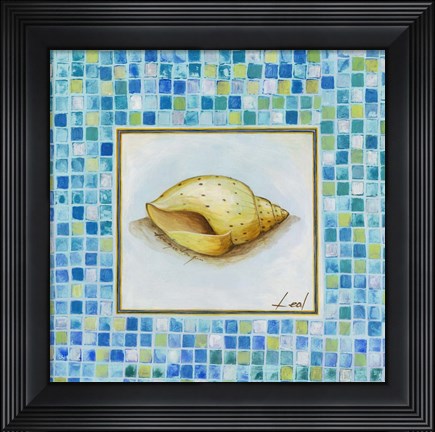 Framed Conch Print