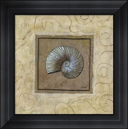Framed Sea Shell II Print