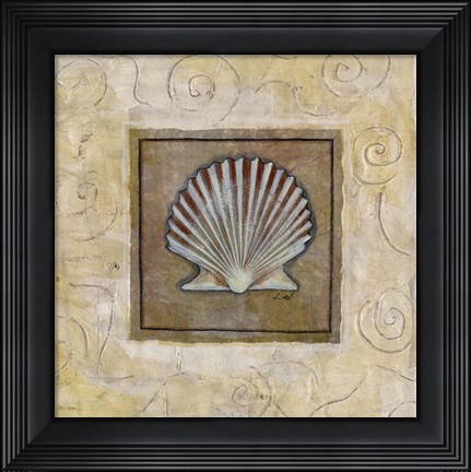 Framed Sea Shell I Print