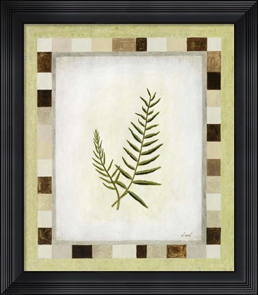 Framed Fern II Print