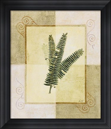 Framed Ferns I Print