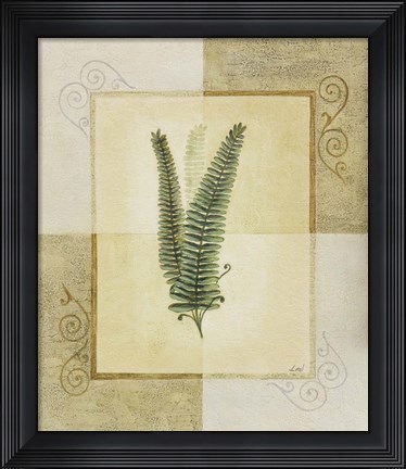 Framed Ferns II Print