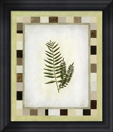 Framed Fern I Print