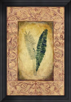 Framed Decorative Ferns II Print