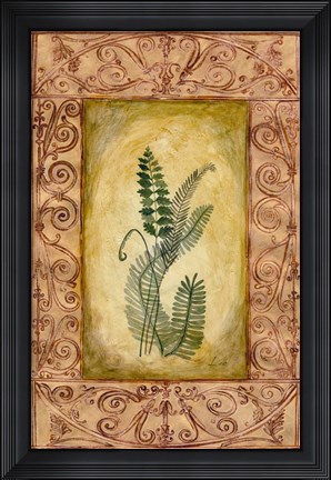 Framed Decorative Ferns I Print
