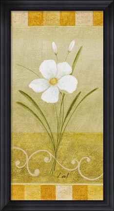 Framed Delicate White II Print