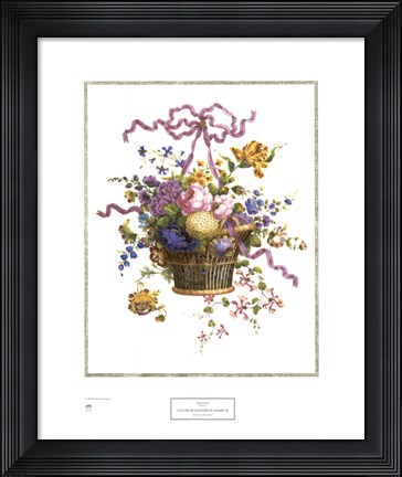 Framed Fleurs De Mdme. Du Barry 3 Print
