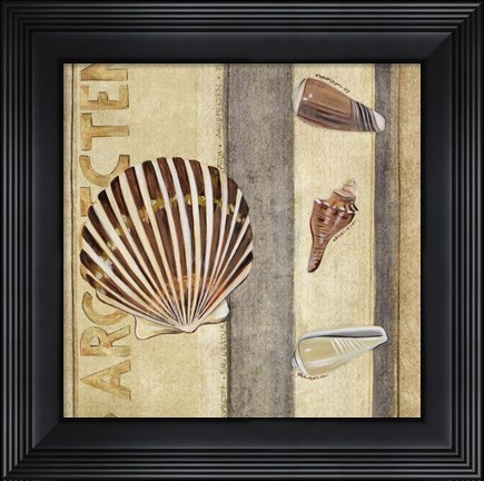 Framed Shell Collage II Print