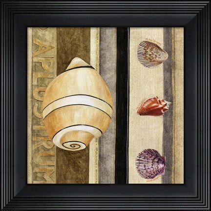 Framed Shell Collage I Print